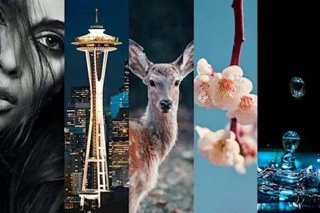 Glazer’s Photography Essentials Part 1