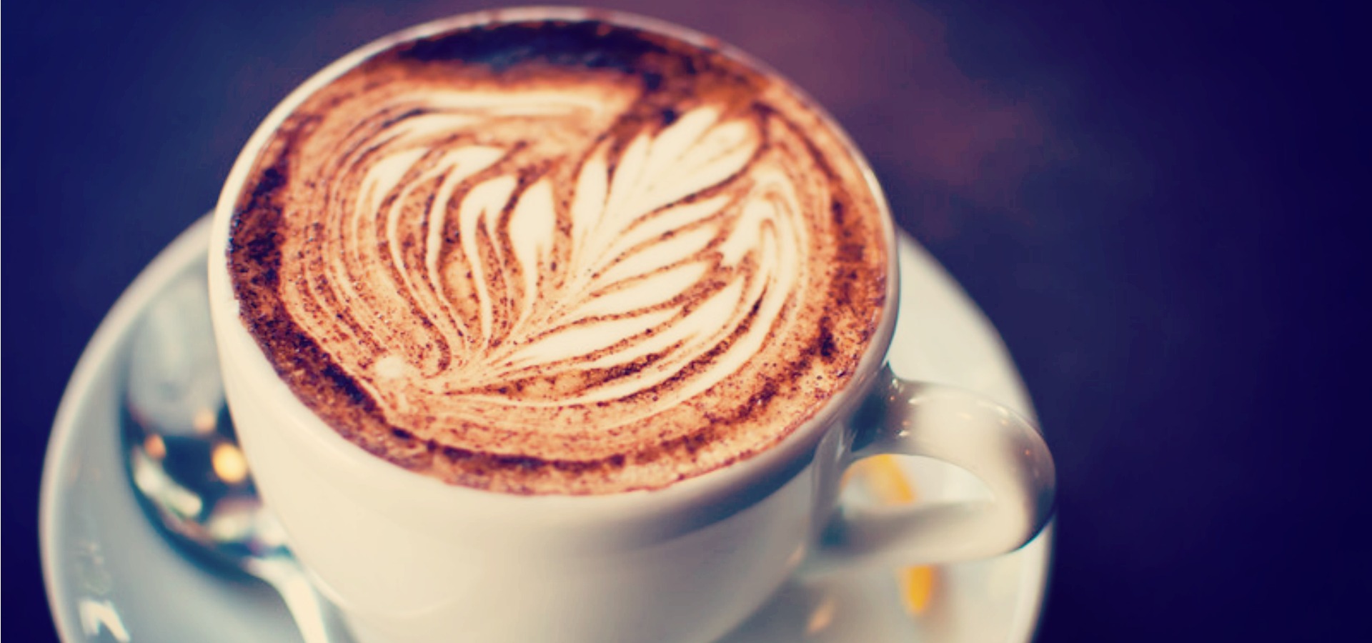 Espresso Vivace Discover South Lake Union
